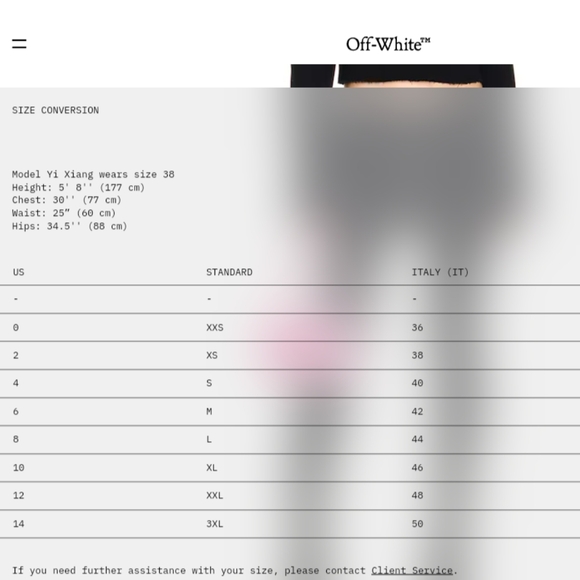 19. NWT OFF-WHITE FLORAL PLEATED SKIRT IT 42 / US MEDIUM/ 6 - Picture 15 of 16